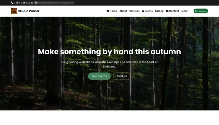Website - What visitors see